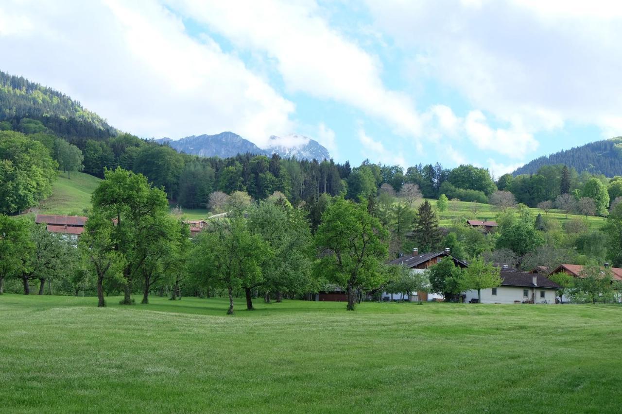 Ferienwohnung Am Jenbach Bad Feilnbach Exterior foto