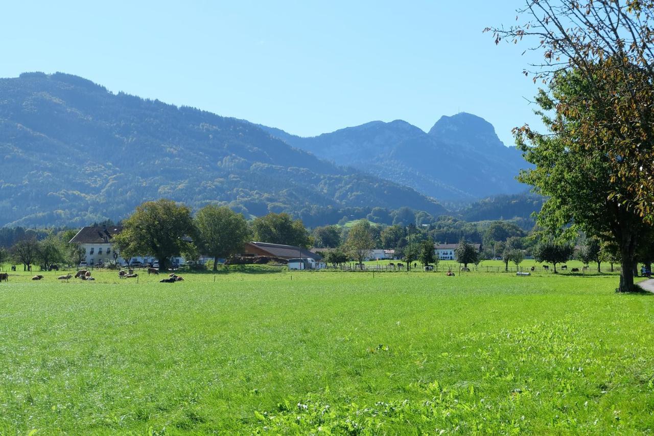 Ferienwohnung Am Jenbach Bad Feilnbach Exterior foto